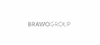 Firmenlogo: BraWo Shared Service Center GmbH